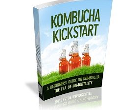 Kombucha Kickstart mrr