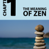 Zen Mastery mrr - Image 3