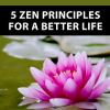Zen Mastery mrr - Image 2