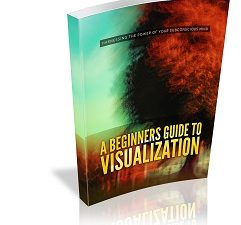 A Beginner's Guide to Visualization pdf